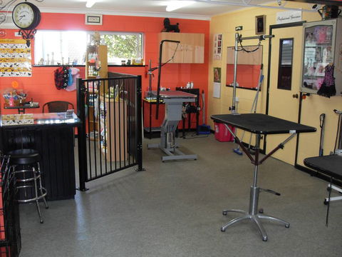 Hill Top K9 Grooming - Renee 3