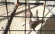 Kireena Park Boarding Kennels - thumb 2