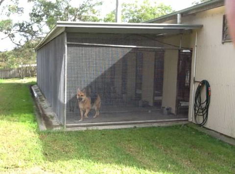Kireena Park Boarding Kennels - Swimm 3