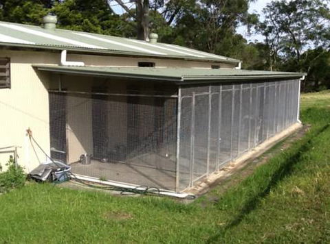 Kireena Park Boarding Kennels - Swimm 5