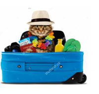 Better Pet Vets Northern Beaches - Renee