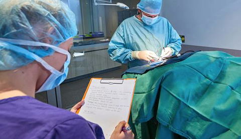 Better Pet Vets Northern Beaches - Renee 3