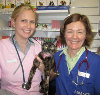 Andergrove Veterinary Clinic - Renee
