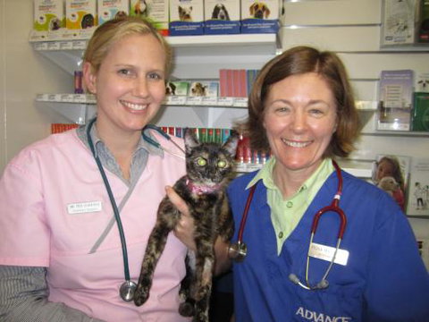 Andergrove Veterinary Clinic - Internet Find 0