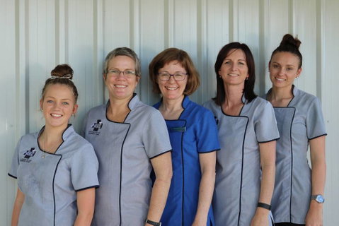 Andergrove Veterinary Clinic - Internet Find 2