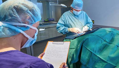 Armstrong Hannah Veterinary - Swimm 0