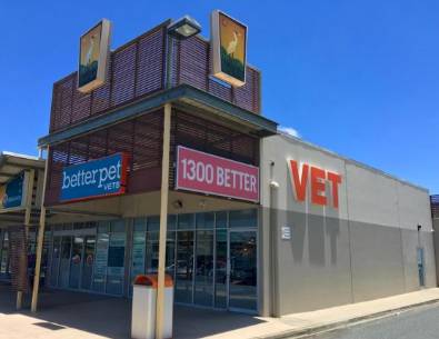 Armstrong Hannah Veterinary - Swimm 1