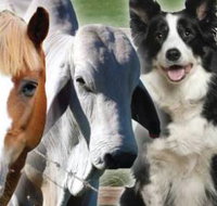 O'Neil Cameron Dr Valley Vet Surgery - Qld Realsetate