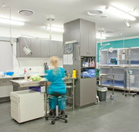 Edgeworth Animal Medical Centre - Swimm
