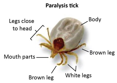 Mayfield Veterinary Hospital - Internet Find 0