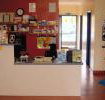 Williams River Veterinary Clinic - Qld Realsetate
