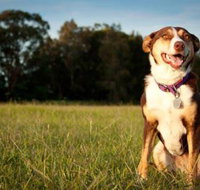 Fletcher Veterinary Practice - Petrol Stations