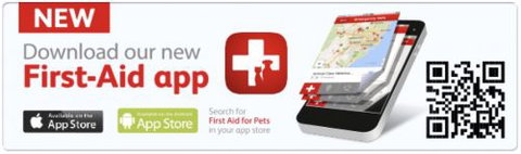 Edgeworth Veterinary Clinic - Internet Find 1