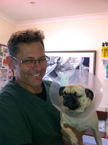 Lennox Head Vet Clinic - Renee 0