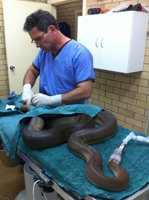 Lennox Head Vet Clinic - Renee 1