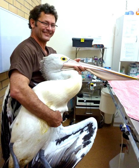 Lennox Head Vet Clinic - Renee 2