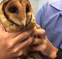 Motto Farm Veterinary Hospital - Renee