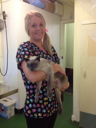 Raymond Terrace Veterinary Clinic - Internet Find 0