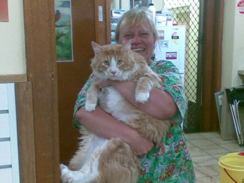 Raymond Terrace Veterinary Clinic - Internet Find 1