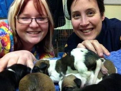 Raymond Terrace Veterinary Clinic - Internet Find 4