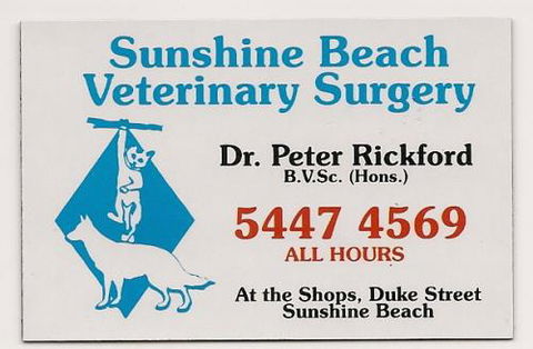 Sunshine Beach Veterinary Surgery - Renee 0
