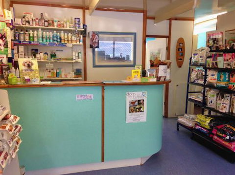 Sunshine Beach Veterinary Surgery - Renee 2
