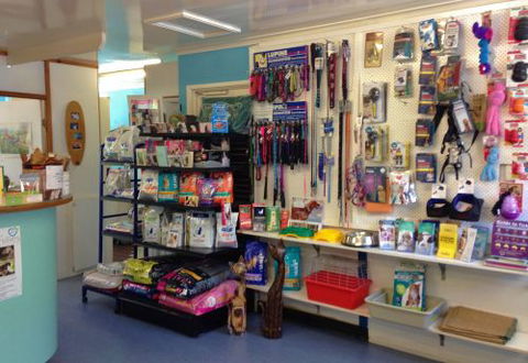 Sunshine Beach Veterinary Surgery - Renee 4
