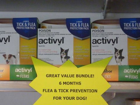 Cooroy Veterinary Surgery - Internet Find 3
