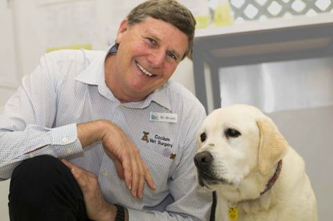 Coolum Veterinary Surgery - Internet Find 1
