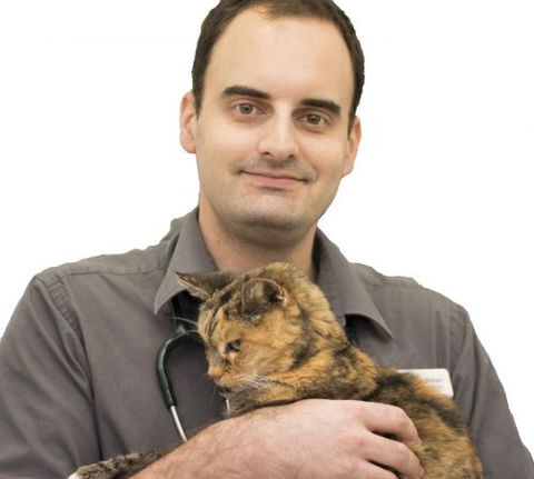 Coolum Veterinary Surgery - Internet Find 2