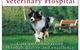 Manning Veterinary Hospital - thumb 0