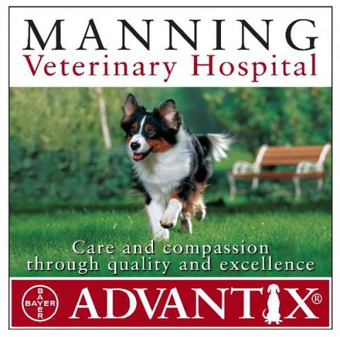 Manning Veterinary Hospital - Renee 0