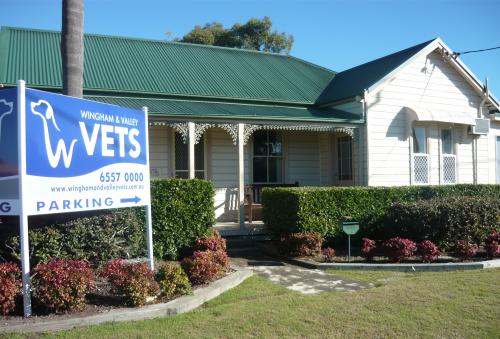 Vets Wingham NSW Swimm