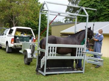 Wingham & Valley Vets - Internet Find 2