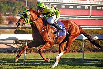 Vets Aitkenvale QLD Renee