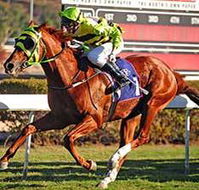 Townsville Vet Clinic - Renee