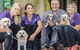 Wulguru Veterinary Clinic - thumb 3