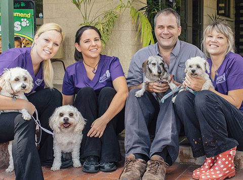 Wulguru Veterinary Clinic - Internet Find 3