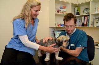 Coast Animal Health - Renee 1