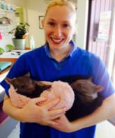 Lewis Kathryn Dr - Renee 1