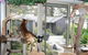 Cat Utopia Resort & Spa–Luxury Cat Boarding - thumb 2