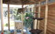 Cat Utopia Resort & Spa–Luxury Cat Boarding - thumb 4