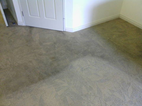 Carpet Clinic NT - Renee 2