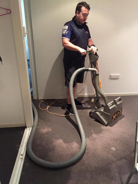 Mackay Carpetcare - Swimm 1