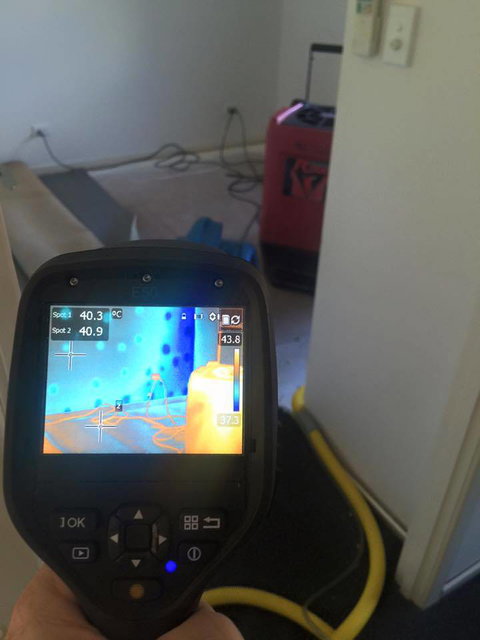 Mackay Carpetcare - Swimm 2