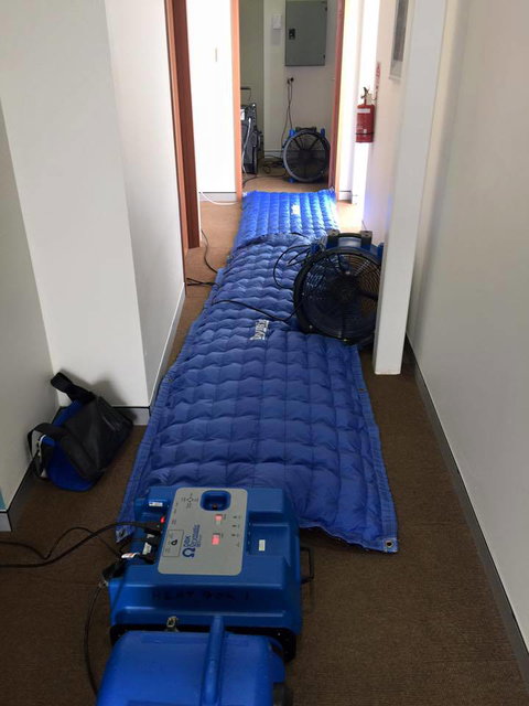 Mackay Carpetcare - Swimm 3