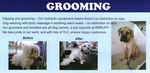 RRRUFF! Dog Depot - Renee 2
