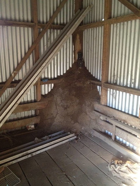 Miller's Pest Control - Internet Find 4