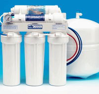 The Water Shop - Renee