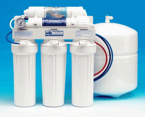 The Water Shop - Renee 0